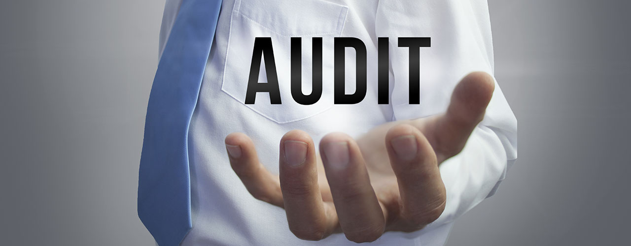 Audit Blog Banner